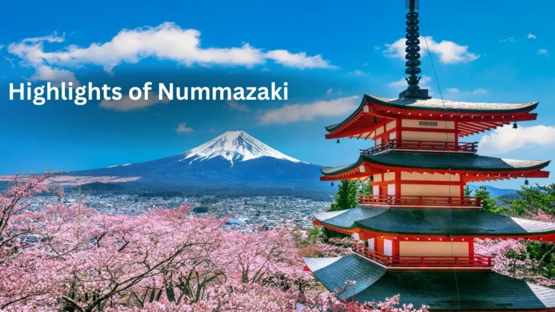 Highlights of Nummazaki: Secret of Coastal Japanese Beauty
