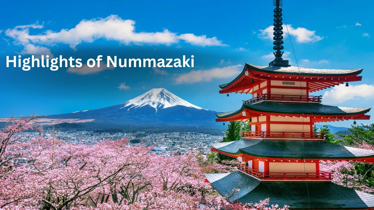 Highlights of Nummazaki: Secret of Coastal Japanese Beauty
