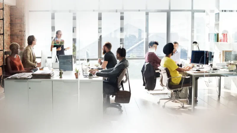 Sue Ann LLC Alqwkq: The Smart Way Businesses Grow